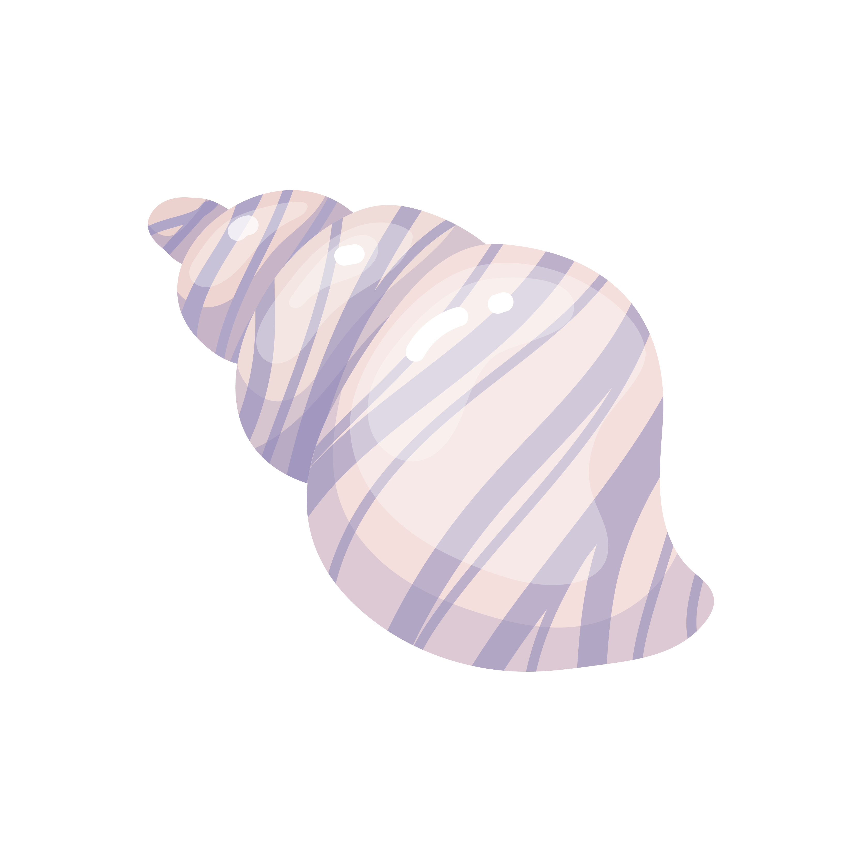 OP_Ocean elements-08