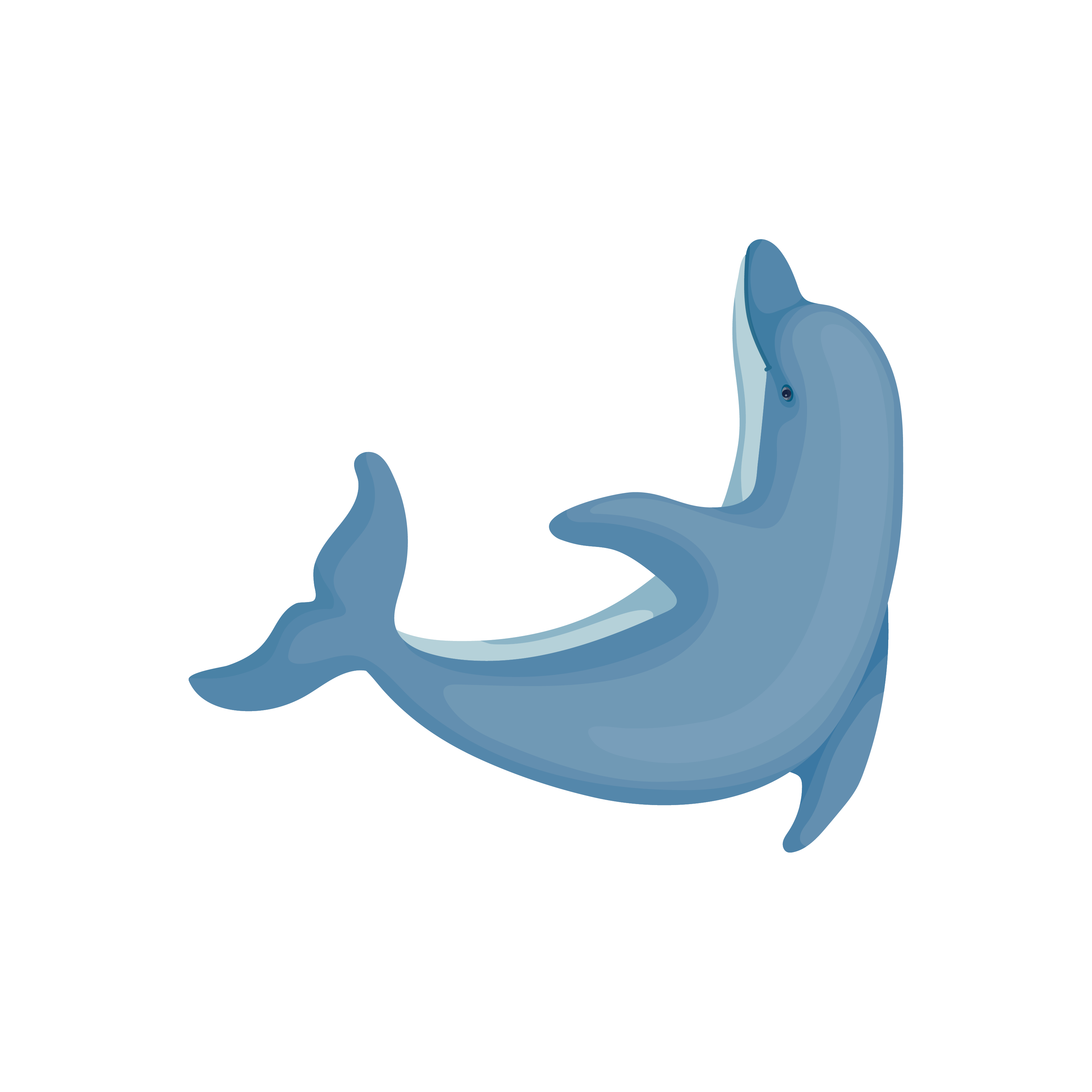 Ocean Pediatrics Dolphins-03