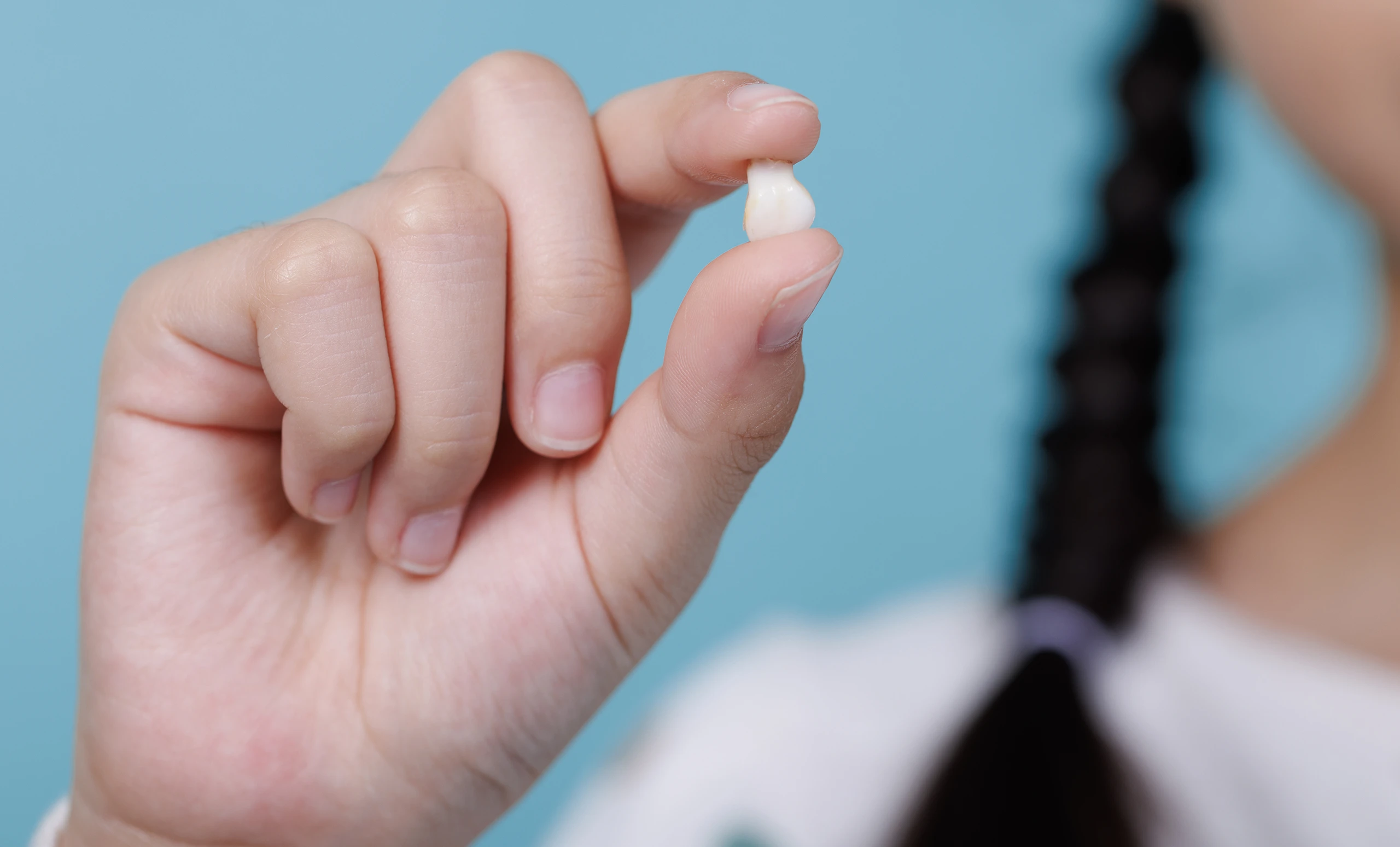 Closeup of little girl holding a tooth