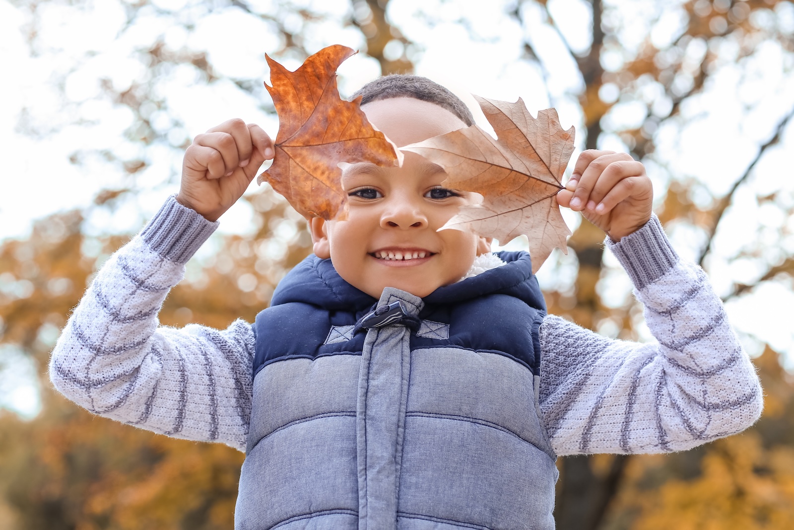 Smiling black child holding up two fall leaves in front of his face.
