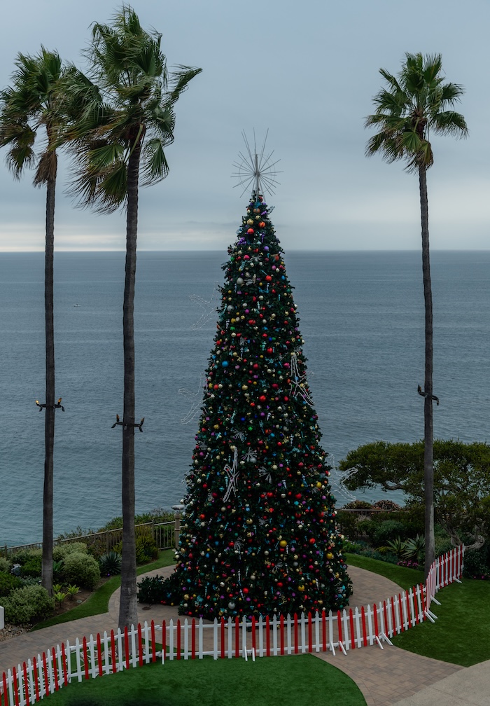  Extra tall christmas tree in southern california.