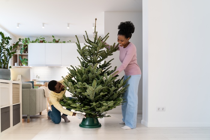 African American mom helping set up the Christmas tree with her husband. 