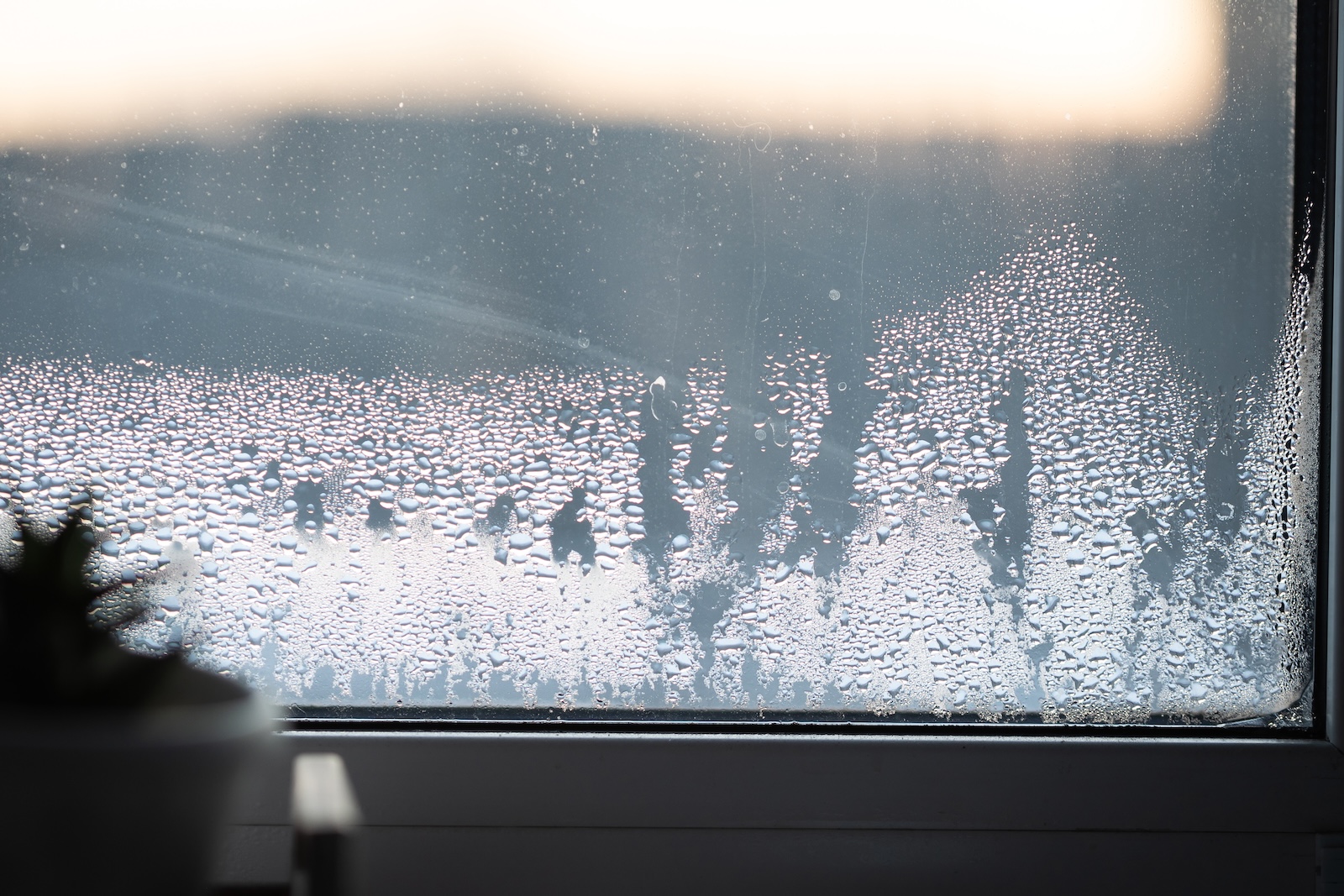 Water droplets on a window during wintertime.