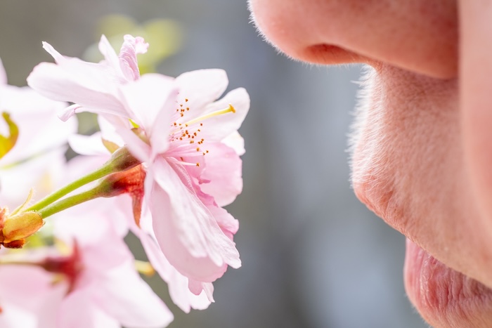 Person smelling a pink flower up close.
